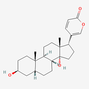 molecular formula C24H34O4 B7888994 (3beta,5beta)-3,14-Dihydroxybufa-20,22-dienolide 