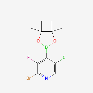 2-Bromo-5-chloro-3-fluoro-4-pyridineboronic acid pinacol ester