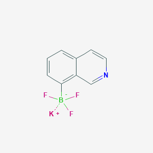 molecular formula C9H6BF3KN B7889254 Potassium trifluoro(isoquinolin-8-yl)boranuide 