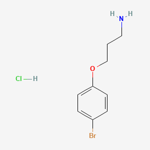 molecular formula C9H13BrClNO B7889682 3-(4-Bromophenoxy)propan-1-amine hydrochloride 