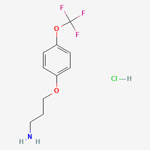 molecular formula C10H13ClF3NO2 B7889688 3-(4-(Trifluoromethoxy)phenoxy)propan-1-amine hydrochloride 