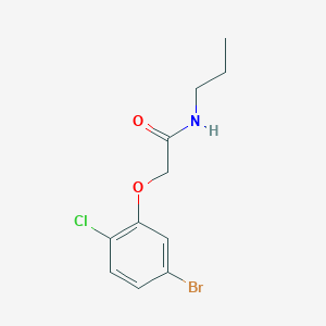 molecular formula C11H13BrClNO2 B7892126 2-(5-bromo-2-chlorophenoxy)-N-propylacetamide 