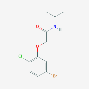 molecular formula C11H13BrClNO2 B7892139 2-(5-Bromo-2-chlorophenoxy)-N-isopropylacetamide 