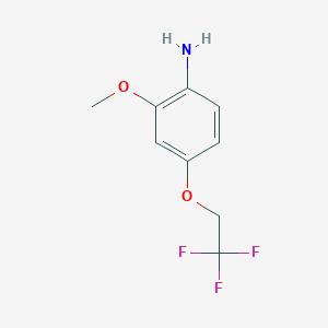 molecular formula C9H10F3NO2 B7892554 2-Methoxy-4-(2,2,2-trifluoroethoxy)aniline 