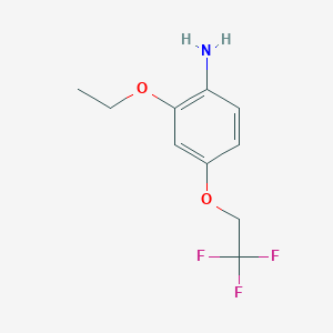 molecular formula C10H12F3NO2 B7892562 2-Ethoxy-4-(2,2,2-trifluoroethoxy)aniline 