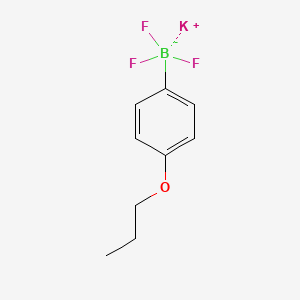 molecular formula C9H11BF3KO B7892605 Potassium trifluoro(4-propoxyphenyl)borate 