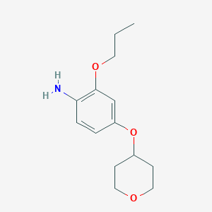 molecular formula C14H21NO3 B7892801 2-Propoxy-4-((tetrahydro-2H-pyran-4-yl)oxy)aniline 