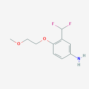 molecular formula C10H13F2NO2 B7892893 3-(Difluoromethyl)-4-(2-methoxyethoxy)aniline 