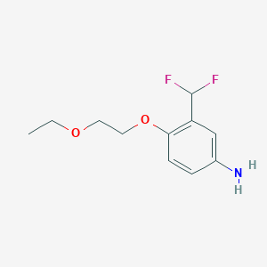 molecular formula C11H15F2NO2 B7892897 3-(Difluoromethyl)-4-(2-ethoxyethoxy)aniline 