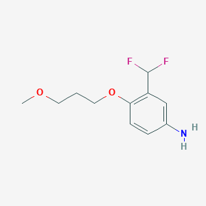 molecular formula C11H15F2NO2 B7892915 3-(Difluoromethyl)-4-(3-methoxypropoxy)aniline 