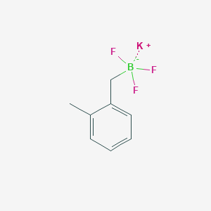 molecular formula C8H9BF3K B7893823 Potassium;trifluoro-[(2-methylphenyl)methyl]boranuide 