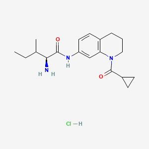 molecular formula C19H28ClN3O2 B7896698 (2S)-2-amino-N-[1-(cyclopropanecarbonyl)-3,4-dihydro-2H-quinolin-7-yl]-3-methylpentanamide;hydrochloride 