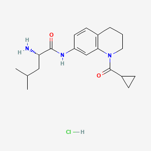 molecular formula C19H28ClN3O2 B7896706 (2S)-2-amino-N-[1-(cyclopropanecarbonyl)-3,4-dihydro-2H-quinolin-7-yl]-4-methylpentanamide;hydrochloride 