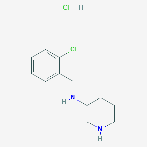 molecular formula C12H18Cl2N2 B7896992 (2-Chloro-benzyl)-piperidin-3-yl-amine hydrochloride 