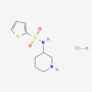 molecular formula C9H15ClN2O2S2 B7897457 N-(Piperidin-3-yl)thiophene-2-sulfonamide hydrochloride 