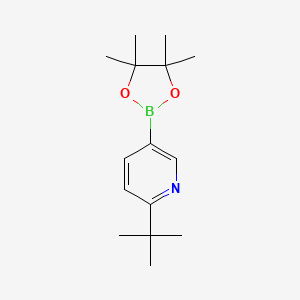 molecular formula C15H24BNO2 B7897612 2-Tert-butyl-pyridine-5-boronic acid pinacol ester 