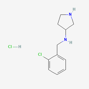 molecular formula C11H16Cl2N2 B7897754 (2-Chloro-benzyl)-pyrrolidin-3-yl-amine hydrochloride 