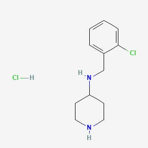 molecular formula C12H18Cl2N2 B7898461 (2-Chloro-benzyl)-piperidin-4-yl-amine hydrochloride 