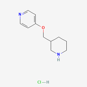 molecular formula C11H17ClN2O B7898987 4-(Piperidin-3-ylmethoxy)-pyridine hydrochloride 