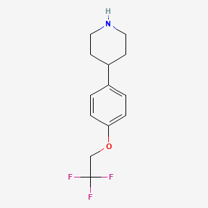 molecular formula C13H16F3NO B7900132 4-(4-(2,2,2-Trifluoroethoxy)phenyl)piperidine 
