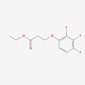 molecular formula C11H11F3O3 B7902520 Ethyl 3-(2,3,4-trifluoro-phenoxy)propanoate 