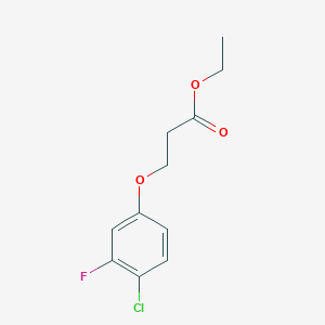 molecular formula C11H12ClFO3 B7902534 Ethyl 3-(4-chloro-3-fluoro-phenoxy)propanoate 
