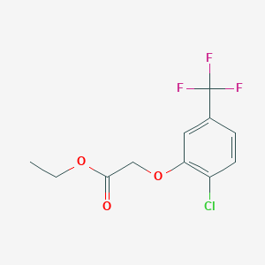 molecular formula C11H10ClF3O3 B7902622 Ethyl 2-[2-chloro-5-(trifluoromethyl)-phenoxy]acetate 