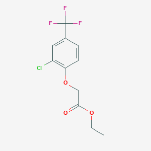 molecular formula C11H10ClF3O3 B7902630 Ethyl 2-[2-chloro-4-(trifluoromethyl)-phenoxy]acetate 