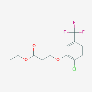 molecular formula C12H12ClF3O3 B7902647 Ethyl 3-[2-chloro-5-(trifluoromethyl)-phenoxy]propanoate 