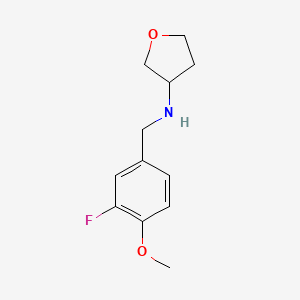molecular formula C12H16FNO2 B7902732 N-[(3-fluoro-4-methoxyphenyl)methyl]oxolan-3-amine 