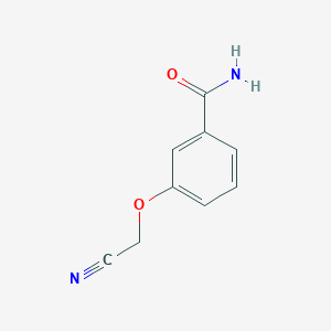 B7906751 3-(Cyanomethoxy)benzamide CAS No. 500866-02-4