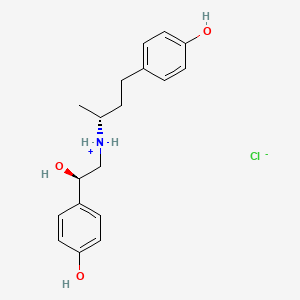 molecular formula C18H24ClNO3 B7908016 [(2R)-2-hydroxy-2-(4-hydroxyphenyl)ethyl]-[(2R)-4-(4-hydroxyphenyl)butan-2-yl]azanium;chloride 