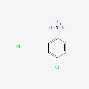 molecular formula C6H7Cl2N B7908812 4-Chlorobenzenaminium chloride 