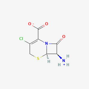 molecular formula C7H7ClN2O3S B7909138 (6R,7R)-7-azaniumyl-3-chloro-8-oxo-5-thia-1-azabicyclo[4.2.0]oct-2-ene-2-carboxylate 