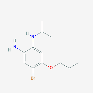 molecular formula C12H19BrN2O B7910031 4-Bromo-1-N-isopropyl-5-propoxybenzene-1,2-diamine 