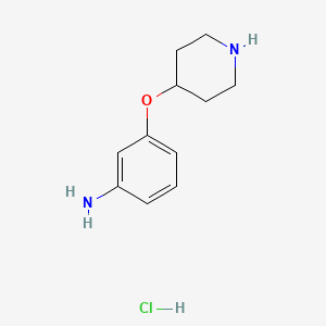 molecular formula C11H17ClN2O B7910043 3-(Piperidin-4-yloxy)aniline, hcl 