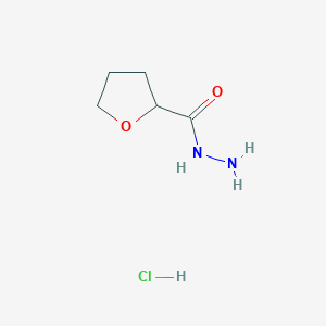 molecular formula C5H11ClN2O2 B7910265 Tetrahydrofuran-2-carboxylic acid hydrazide 