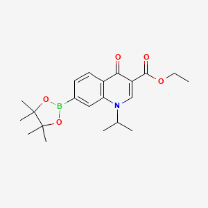 Ethyl 1-isopropyl-4-oxo-7-(4,4,5,5-tetramethyl-1,3,2-dioxaborolan-2-yl)-1,4-dihydro-3-quinolinecarboxylate