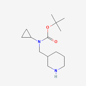 Cyclopropyl-piperidin-3-ylmethyl-carbamic acid tert-butyl ester