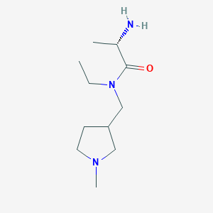molecular formula C11H23N3O B7930163 (S)-2-Amino-N-ethyl-N-(1-methyl-pyrrolidin-3-ylmethyl)-propionamide 