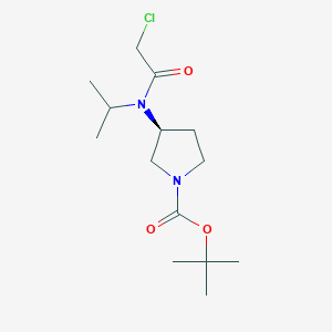 molecular formula C14H25ClN2O3 B7931996 (S)-3-[(2-Chloro-acetyl)-isopropyl-amino]-pyrrolidine-1-carboxylic acid tert-butyl ester 