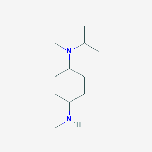 molecular formula C11H24N2 B7933731 N-Isopropyl-N,N'-dimethyl-cyclohexane-1,4-diamine 