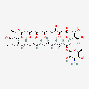 molecular formula C47H75NO17 B7933818 Nystatin (Fungicidin) 