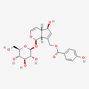 molecular formula C22H26O11 B7933910 [(1R,4aS,5R,7aR)-5-hydroxy-1-[(2S,3R,4S,5S,6R)-3,4,5-trihydroxy-6-(hydroxymethyl)oxan-2-yl]oxy-1,4a,5,7a-tetrahydrocyclopenta[c]pyran-7-yl]methyl 4-hydroxybenzoate 
