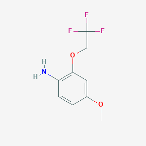 molecular formula C9H10F3NO2 B7934878 4-Methoxy-2-(2,2,2-trifluoroethoxy)aniline 