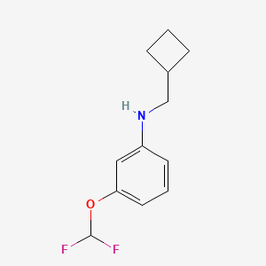 molecular formula C12H15F2NO B7934955 N-(cyclobutylmethyl)-3-(difluoromethoxy)aniline 