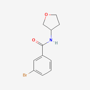 molecular formula C11H12BrNO2 B7935390 3-Bromo-N-(oxolan-3-yl)benzamide 
