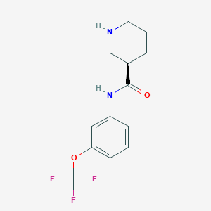 molecular formula C13H15F3N2O2 B7935634 (R)-N-(3-(trifluoromethoxy)phenyl)piperidine-3-carboxamide 