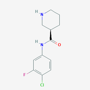 molecular formula C12H14ClFN2O B7935654 (R)-N-(4-chloro-3-fluorophenyl)piperidine-3-carboxamide 