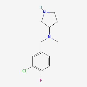 molecular formula C12H16ClFN2 B7935675 N-(3-Chloro-4-fluorobenzyl)-N-methylpyrrolidin-3-amine 